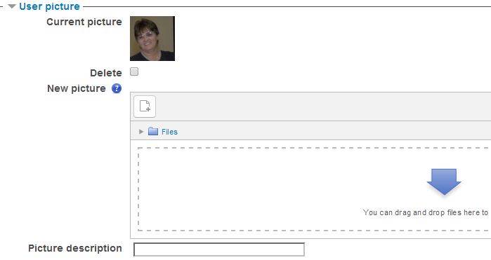 Profile option to add profile picture